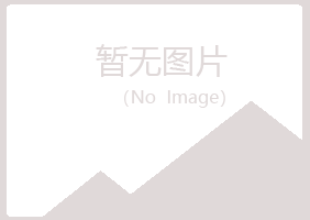 九江庐山夏日能源有限公司